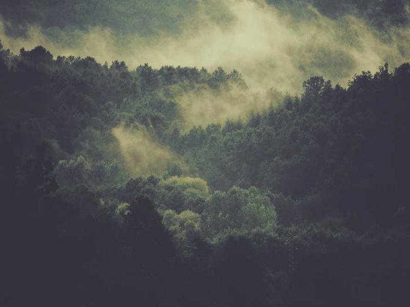 Plant Pot Holder - Image 3