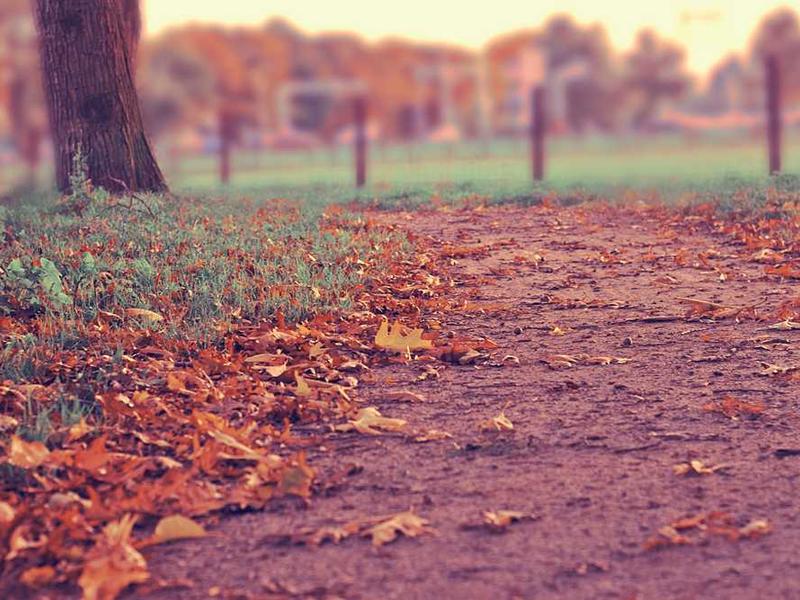 Remote Control Holder