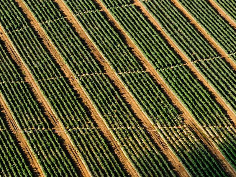 Napkin Holder - Image 5