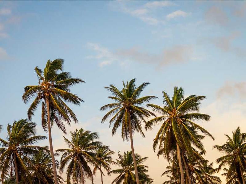 Plant Pot Holder - Image 5